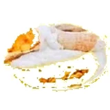 Omelette + thé